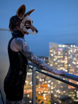 Calliope the Coyote's photo 2