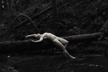 salmonberryboudoir's photo 1