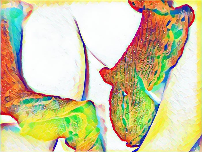 In Person/Online Sexological Bodywork/Somatic Sex Ed Sessions by EmbodiedElements