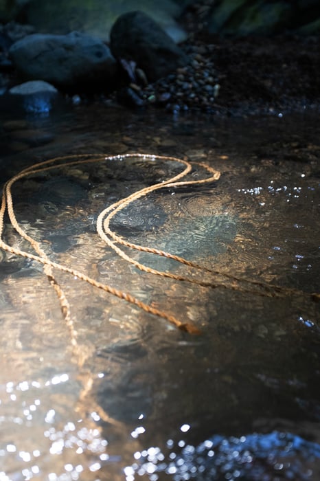 Shibari Bound to Nature Retreat in Costa Rica — photo 15 by GoddessPersephone
