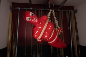 Princess_Latex's photo 12