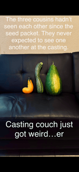 gingerroot's photo 1