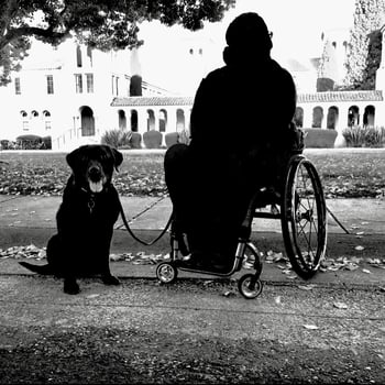 Dr_dom_travels BDSM Santa Rosa