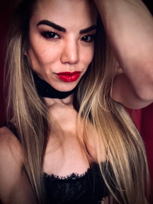 FemDom - The Art of Erotic Submission