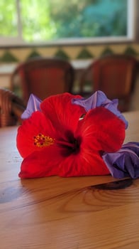 EroticMentor's photo 10