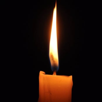 Aydin FBSM İstanbul