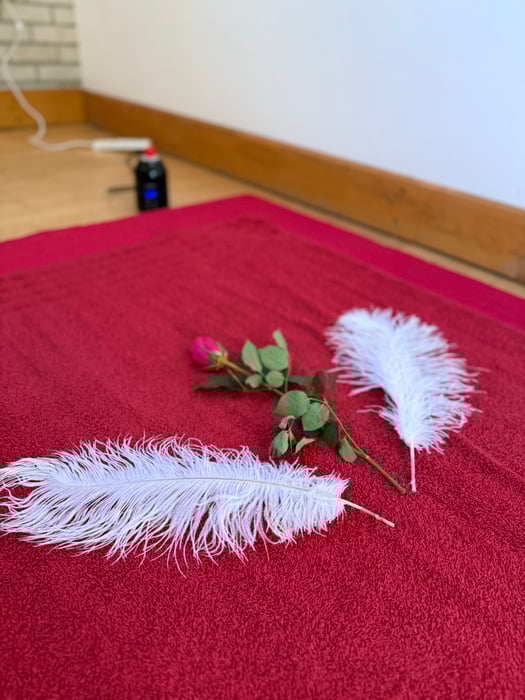 Healing Arts Tantric Massage Workshop