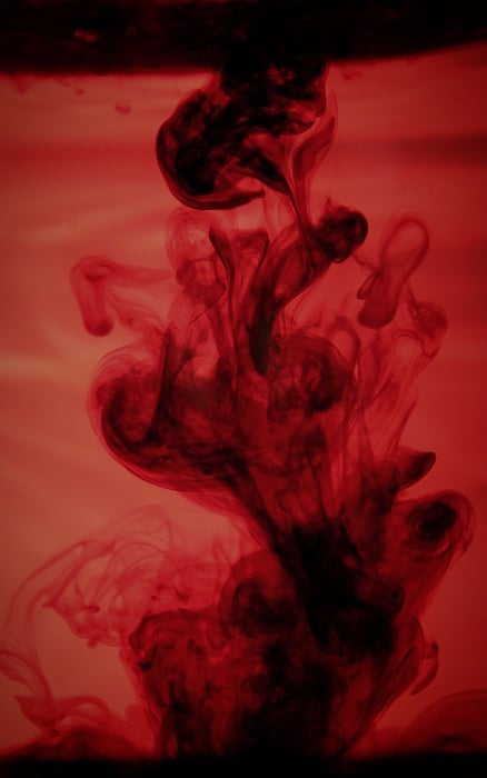 Sensory Awakening — photo 2 by Lu