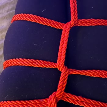 InKindIntegration Dominatrix Syracuse Sensuali