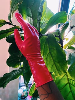 Kink / BDSM / Fetish Experience (In Person)